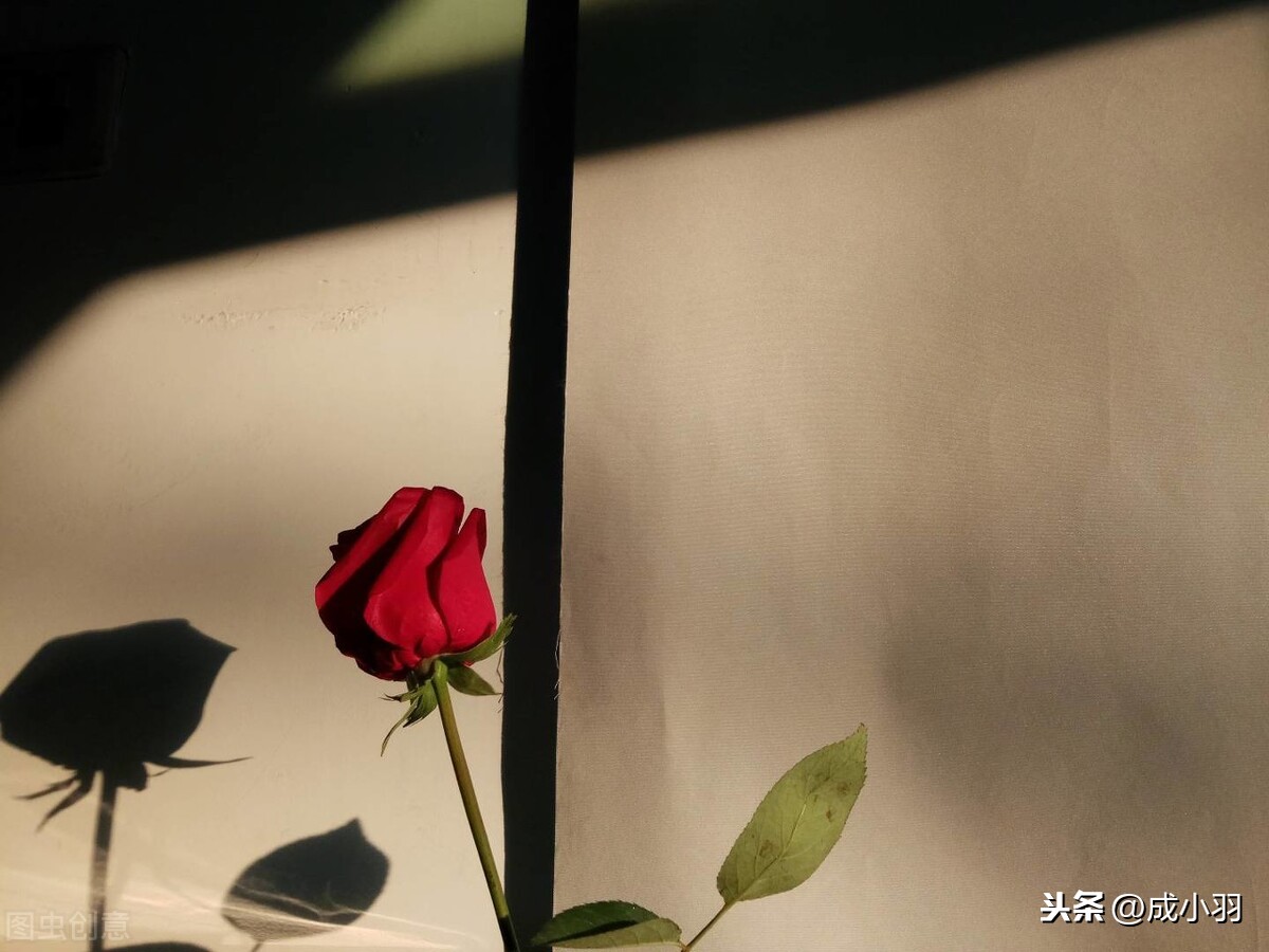 释然什么意思是什么生肖（释然啥意思呀）
