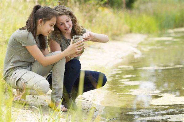 断掌的女人掌纹分析图（女人右手断掌纹的命运如何）