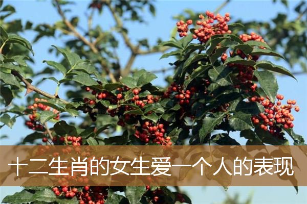 十二生肖爱上一个人的表现，十二生肖真心爱你的表现