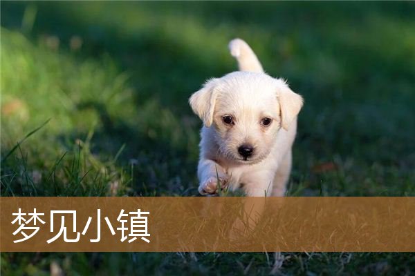 梦见小镇的建筑(梦见走到一个陌生的小镇)