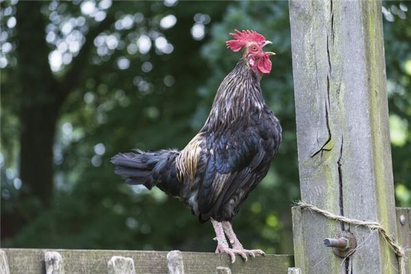 秋生为什么叫秋生（什么性格女人易生女孩）