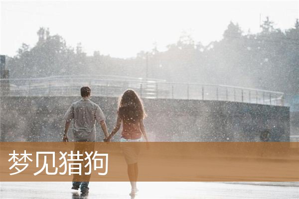 梦见猎狗是什么预兆（梦到猎狗什么意思）