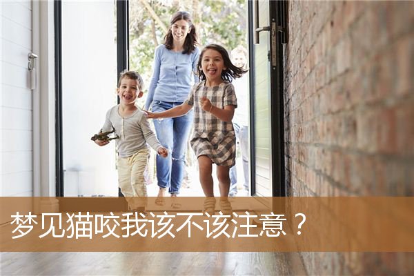 梦见猫咬我该不该注意呢（为什么猫看到绳子就要咬）