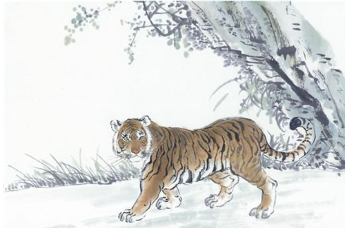 2010年属虎35岁以后命运（2010年属虎忌讳几月出生）