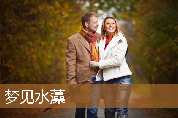 梦见水藻疯长（梦见海底水藻什么意思）