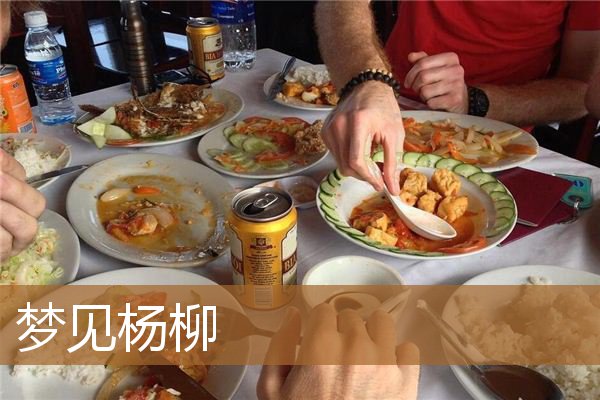 梦见杨柳树是什么意思（梦见柳树枝是什么意思）