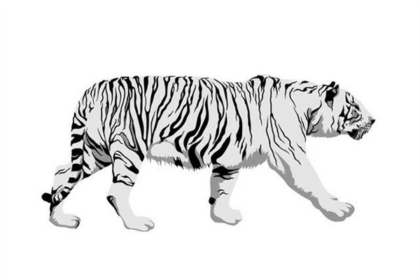 属虎的几月出生最好命，属虎的最忌讳哪个月出生