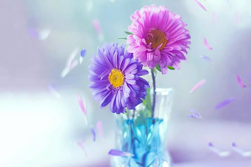 天秤座2020年姻缘宿命（天秤座的婚姻最终归宿）