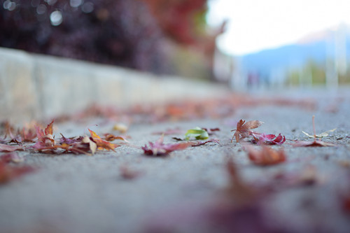 天秤座的相克星座是什么（天秤座的死敌是什么星座）