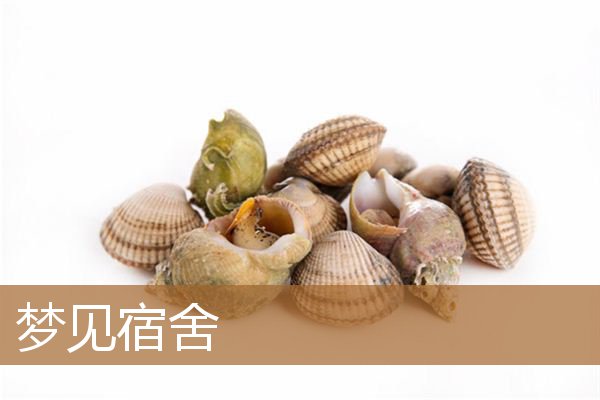 梦见宿舍床铺和同学（梦见集体宿舍的上下床）