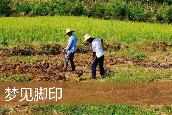 梦见脚印是什么意思（梦见自己留下脚印）