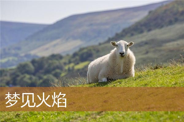 梦见火焰是什么预兆（女人梦到燃烧的火焰）