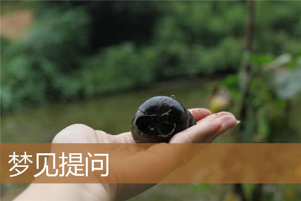 梦见提问问题我不会答(梦见被提问并回答出来)