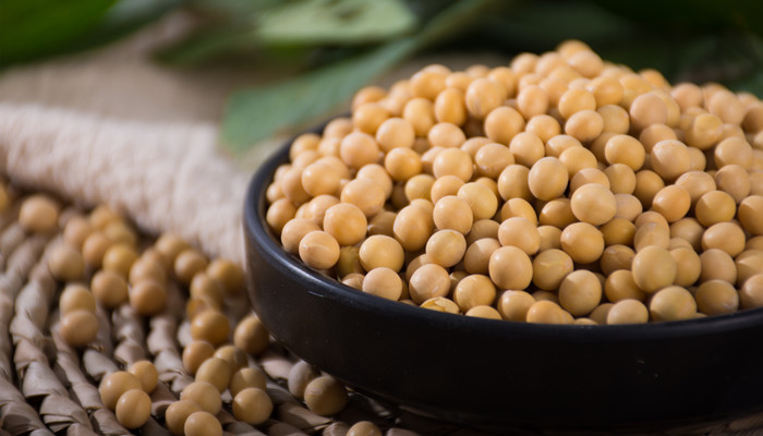 梦见结满了成熟的黄豆子，女人梦见成熟带皮的黄豆