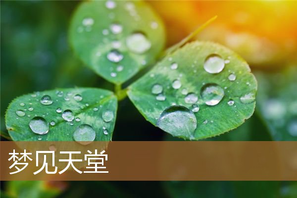 梦见天堂般的美景（做三种梦不能告诉别人）