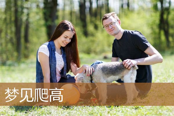 梦见爬高处是什么意思（梦见自己很费劲的向上爬）