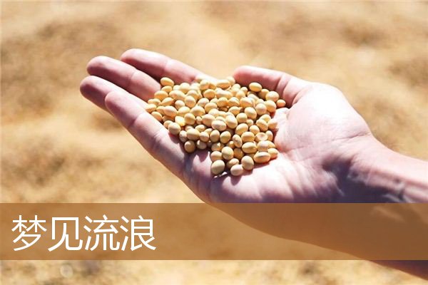 梦见流浪在外面（梦到自己流浪居无所住）