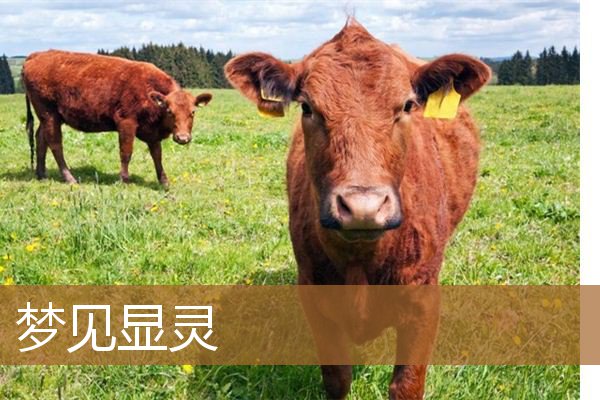 梦见显灵是什么意思（梦见自己快速下山）