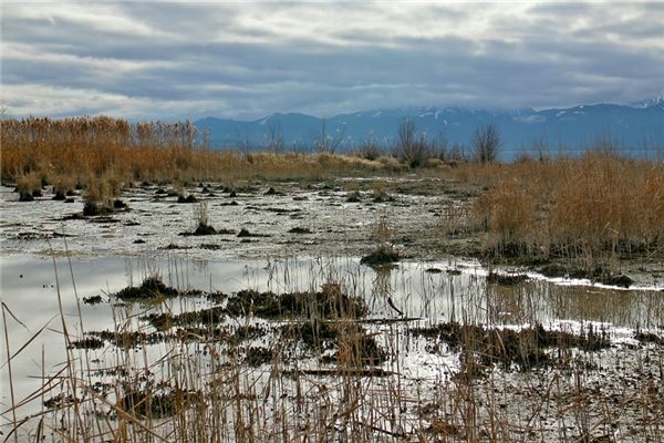 梦见泥地走路（梦见满地都是泥好不好）