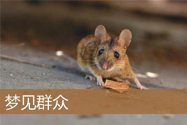 梦见群众反映问题（男人梦见国家最高首领）