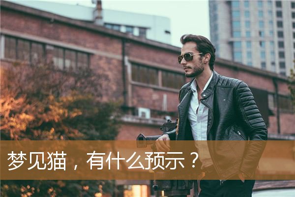 梦见猫是什么预兆女性（男人梦见猫是好事吗）