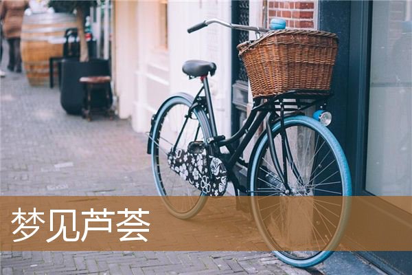 梦见芦荟长得又大又绿（女人梦见芦荟长得茂盛）