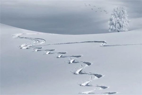 做连续梦是什么意思,做的梦有连续性 做连续梦是什么意思,做的梦有连续性