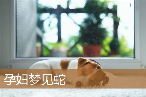 如果没有怀孕,孕妇也有需要 如果没有怀孕,孕妇也有需要