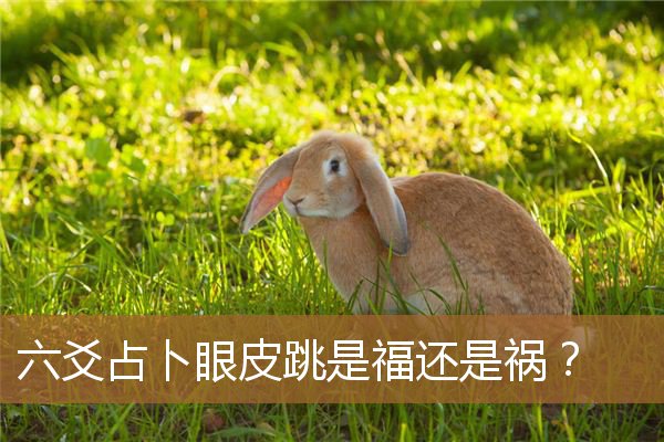 六爻预测眼皮跳吉凶，六爻眼皮跳测吉凶很准