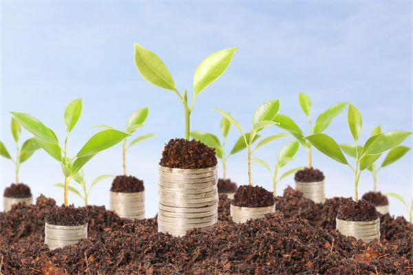 2020年西北方摆什么旺财呢，鱼缸摆放的最佳方位