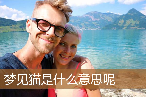 梦见猫是什么意思呢（男人梦见猫是什么预兆）