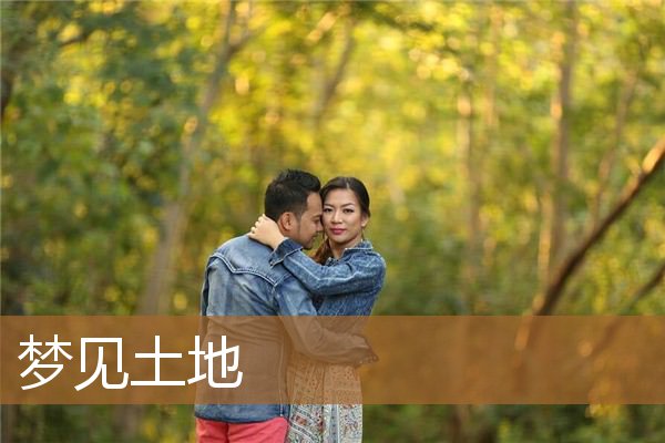 梦见土地是什么意思（梦见一片没种的土地）