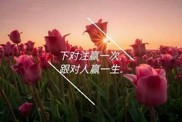 生肖牛和什么生肖最配，属牛人婚姻配对