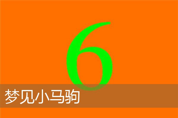 梦见小马驹是什么意思(梦到小马驹预示什么)