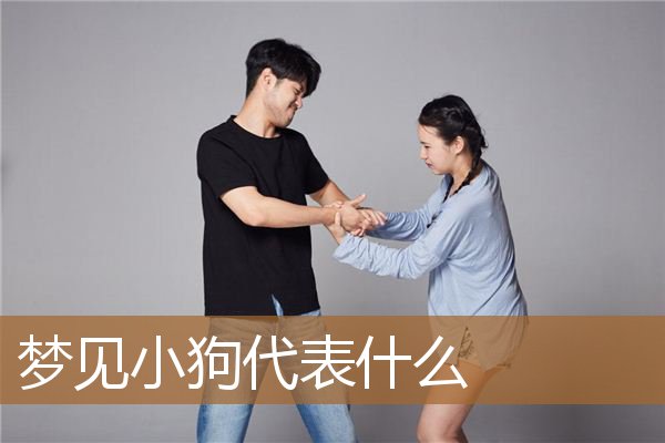 梦见小狗代表什么意思（梦见了小狗是什么兆头）