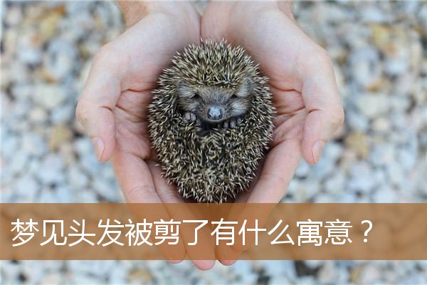 梦见头发被剪了什么意思（梦见长辈给自己剪头发）