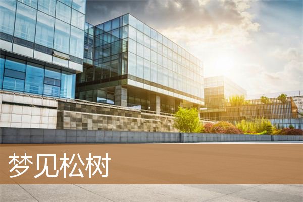 梦见松树是什么预兆（梦见松树是什么预兆）
