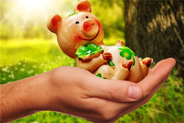 出生猪年的人性格特征男，属猪的有什么性格特点