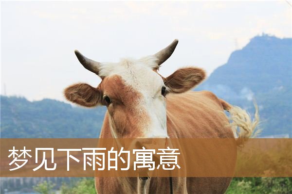 梦见下雨的寓意什么（下雨代表什么意思）
