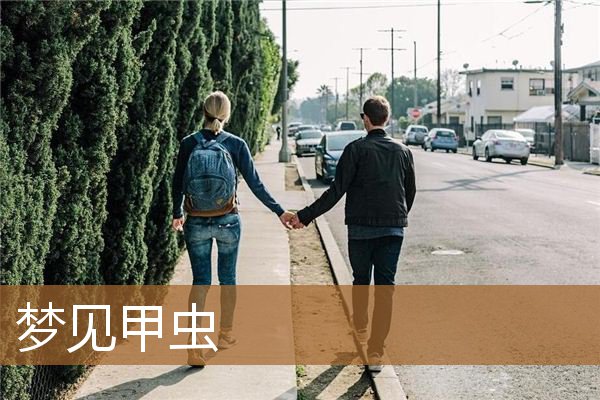 梦见甲虫是什么意思（梦见甲壳类的大虫子）