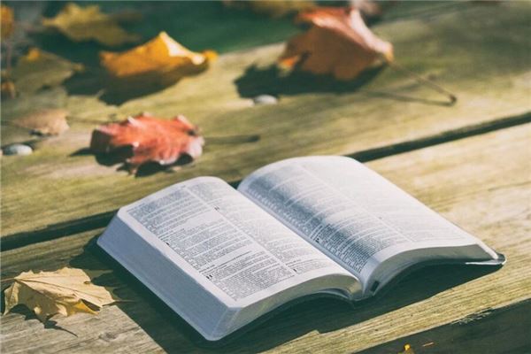 梦见经书是什么意思（女人梦见经书）