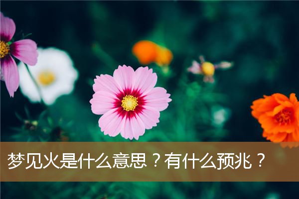 梦见火是什么意思又扑灭（男人梦见火什么预兆）