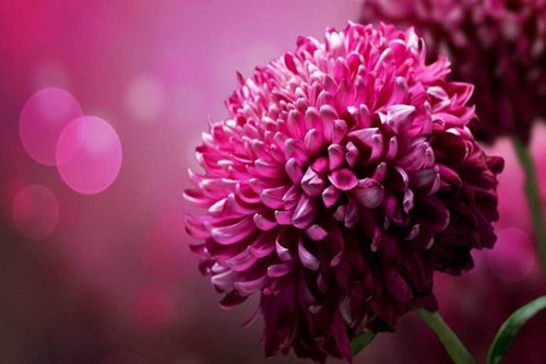 天秤座吃醋时是什么样子的（天秤座男吃醋的表现形式）