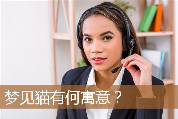 梦见猫有啥寓意（自己梦见猫是什么意思）