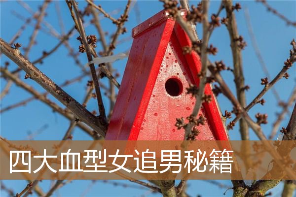 最难追到手的血型女（四大血型男人喜欢的类型）