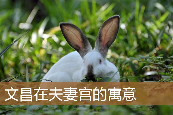 文昌在夫妻宫是什么意思（文昌代表什么寓意）