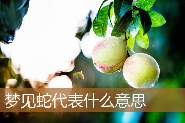 会与丈夫分离啥意思,和老公短暂的分开的心情 会与丈夫分离啥意思,和老公短暂的分开的心情