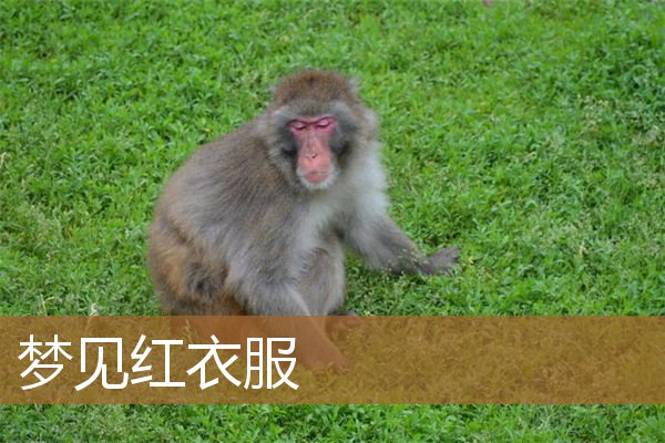 梦见红衣服是什么意思（女人梦见一件红色衣服）