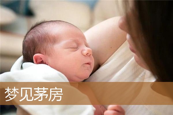 梦见茅房的粪便满了（梦见自己上老式茅坑）