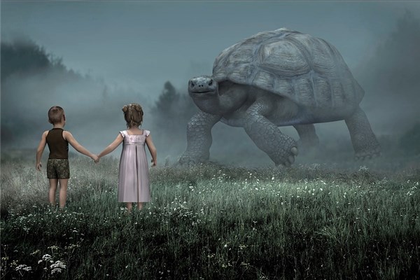 梦见甲鱼咬人怎么样解梦（梦到甲鱼咬人什么预兆）